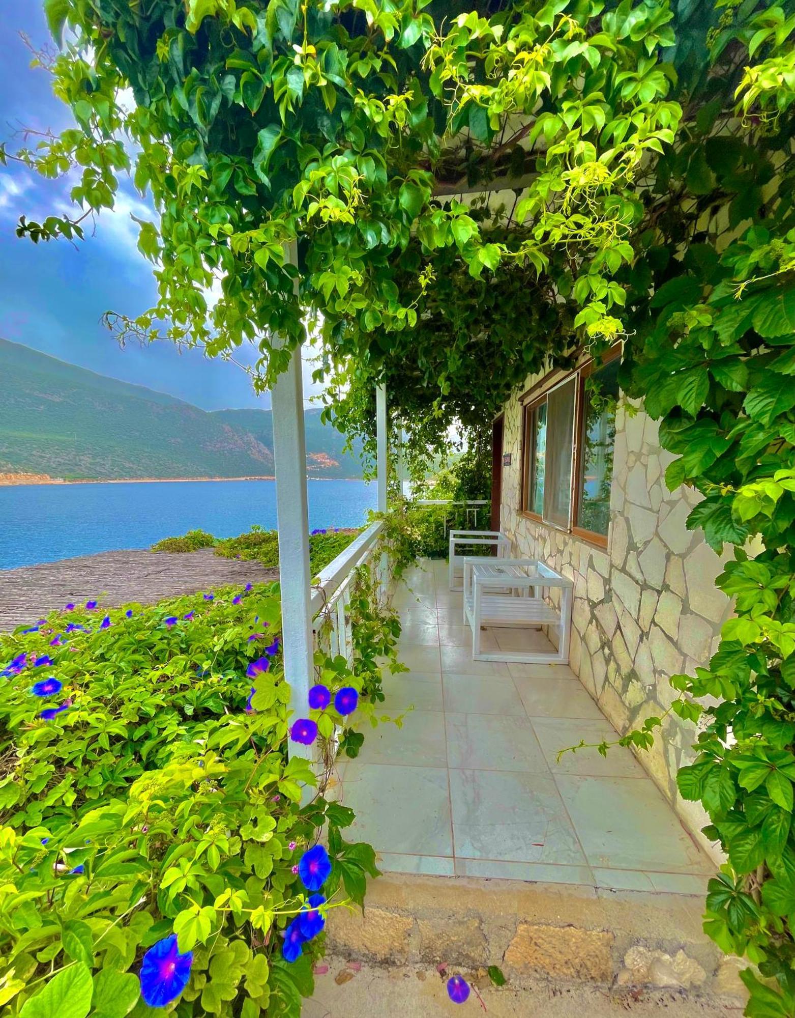 Korsanada Hotel Kaş Exteriör bild